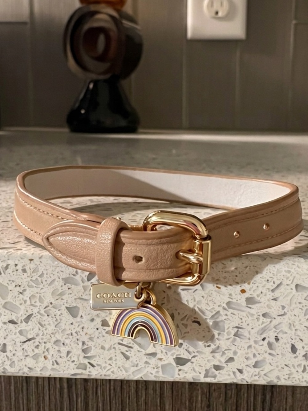 Coach  Tan Leather Dog collar smal with Pastel Rainbow Charm